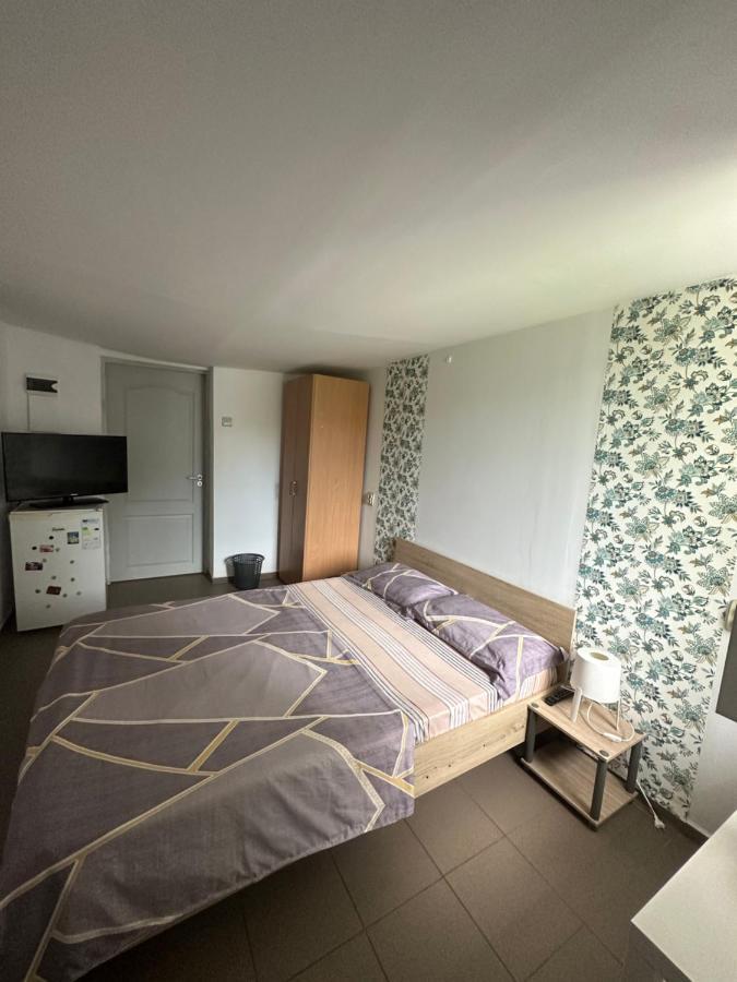 Camere De Inchiriat David Casa David Корбу Экстерьер фото